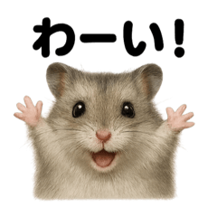 [LINEスタンプ] 優しいハムスターの日常で使えるLINE