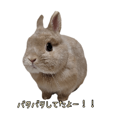 [LINEスタンプ] みるくことばだよ