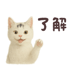 [LINEスタンプ] 白い野良猫のスタンプ（日本語ver.）
