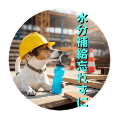 [LINEスタンプ] 小型犬ジャックラッセルテリア現場編