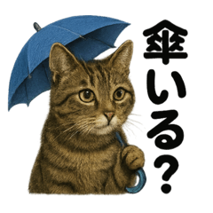 [LINEスタンプ] 【梅雨】リアルなキジトラ猫の雨の日セット