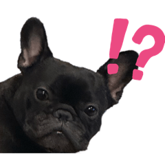 [LINEスタンプ] あんちゃんとてびち