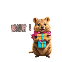 [LINEスタンプ] 愛らしいクオッカ4（繁体字）