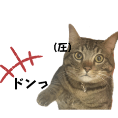 [LINEスタンプ] ジジテトの些細な気持ち