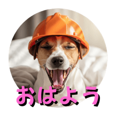 [LINEスタンプ] 小型犬ジャックラッセルテリア日常編