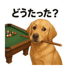 [LINEスタンプ] ビリヤード ゴールデンレトリバー版