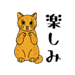 [LINEスタンプ] アクションk-gigi15
