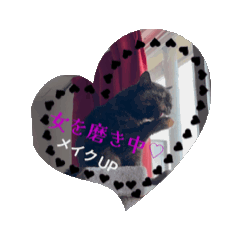 [LINEスタンプ] ちょっと良い女