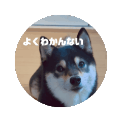 [LINEスタンプ] くろみつの動くスタンプ