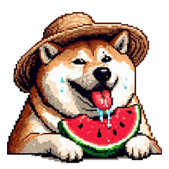 [LINEスタンプ] 夏の太っちょ柴犬