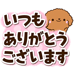 [LINEスタンプ] トイプードル【レッド】太字