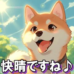 [LINEスタンプ] 夏の天気をお知らせする柴犬【便利・日常】