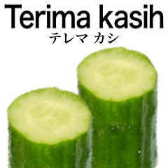 [LINEスタンプ] きゅうり 【インドネシア語】