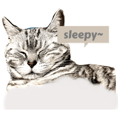 [LINEスタンプ] りんちゃんちゃんちゃんこ