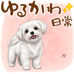 [LINEスタンプ] 毎日使える！表情ゆたかマルチーズ
