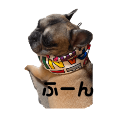 [LINEスタンプ] フレブルオーリーくん
