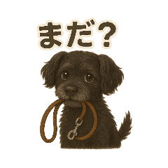 [LINEスタンプ] シュナプーユキチャン