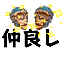 [LINEスタンプ] 適当挨拶その2、読みやすい！