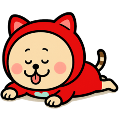 [LINEスタンプ] 新ねここスタンプ1