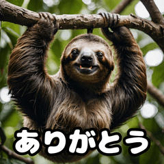 [LINEスタンプ] ゆるゆるナマケモノの気ままスタンプ