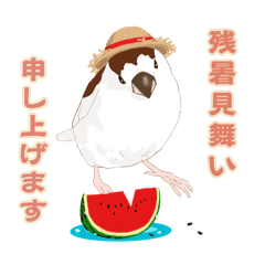 [LINEスタンプ] ジュウシマツ！夏に使えるスタンプ