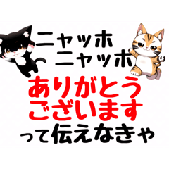 [LINEスタンプ] ニャッホニャッホで挨拶スタンプ