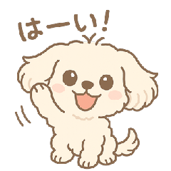 [LINEスタンプ] かわいいマルプーのポム