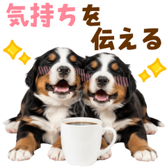 [LINEスタンプ] 毎日使える！感情豊かなバーニーズ