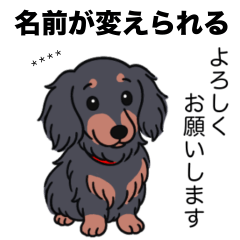 [LINEスタンプ] 名前入りダックス：ロングブラタン