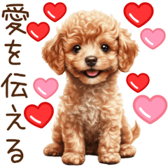 [LINEスタンプ] 愛を伝えるトイプードル