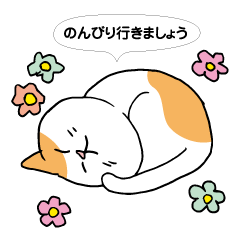 [LINEスタンプ] ボスにゃんこの使える言葉スタンプの画像（メイン）