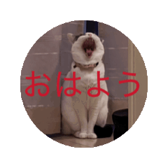 [LINEスタンプ] もなかのもんちゃんおはよう