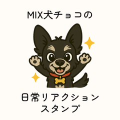 [LINEスタンプ] MIX犬チョコの日常リアクションスタンプ