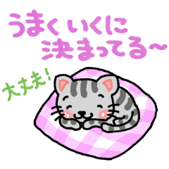 [LINEスタンプ] 『シマ猫』心が楽になる、癒し系シリーズ