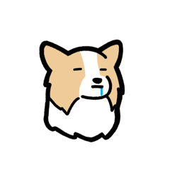 [LINEスタンプ] ボーダーコリーが伝えてくる！！