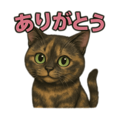 [LINEスタンプ] サビィのきまぐれスタンプ