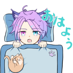 [LINEスタンプ] ゆるかわねこ少年