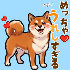 [LINEスタンプ] 毎日使える！気持ち伝わる豆柴メッセージ