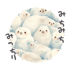 [LINEスタンプ] みっちりみちみちしてたアザラシ