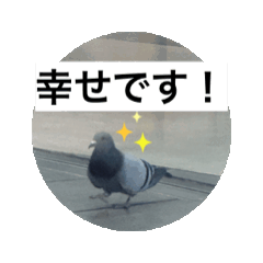 [LINEスタンプ] 人生って素敵