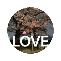 [LINEスタンプ] 桜の街並み