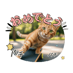 [LINEスタンプ] ニャンコとスケボー