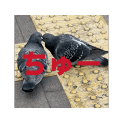 [LINEスタンプ] はといちゃ2