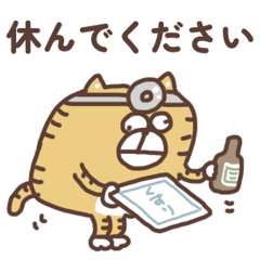 [LINEスタンプ] すんとしたねこの気持ち