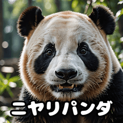 [LINEスタンプ] ゆるかわパンダの感情大集合！