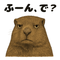 [LINEスタンプ] うざいマーモット