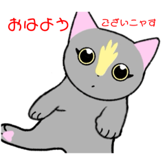 [LINEスタンプ] いえちぃスタンプ 家族連絡用2 グレーの猫