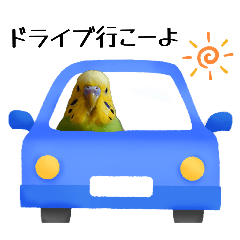 [LINEスタンプ] セキセイインコ とりちゃんの日常②