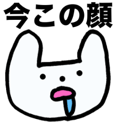 [LINEスタンプ] 毎日だるい犬