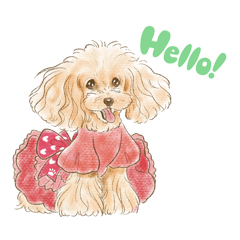 [LINEスタンプ] My Dog Stickers-Rin-